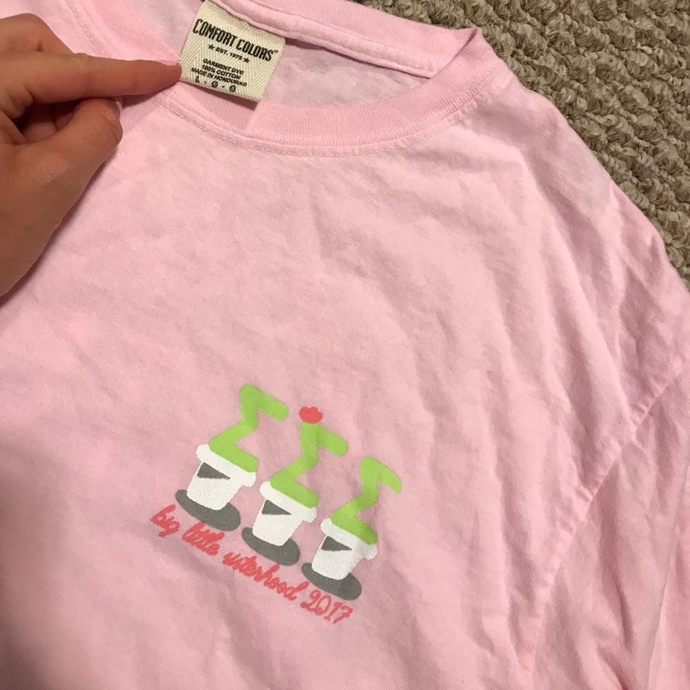3/$20 Tri sigma big/little tshirt